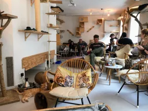Cafe-Kopjes_Amsterdam-scaled-1